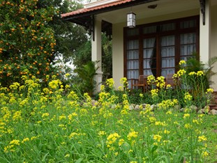 Agoda.com Vietnam Apartments & Hotels  