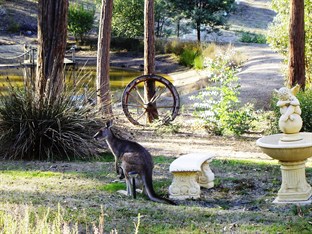 Agoda.com Australia Apartments & Hotels