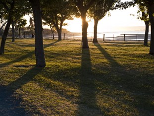 Agoda.com New Zealand Apartments & Hotels