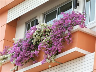 Agoda.com Thailand Apartments & Hotels