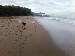 Agoda.com Philippines Apartments & Hotels