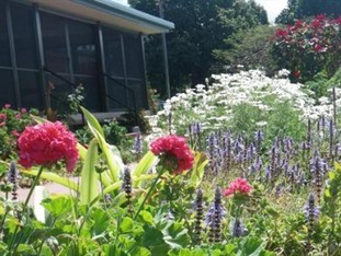 Agoda.com Australia Apartments & Hotels