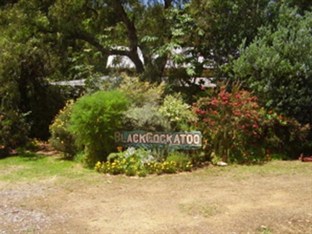 Agoda.com Australia Apartments & Hotels