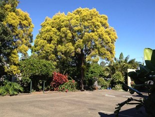 Agoda.com Australia Apartments & Hotels