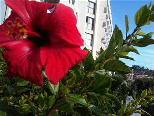 Agoda.com Turkey Apartments & Hotels