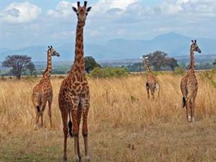 Agoda.com South Africa Apartments & Hotels