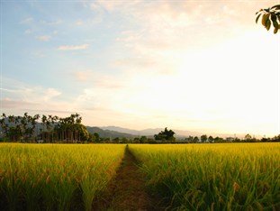 Agoda.com Taiwan Apartments & Hotels