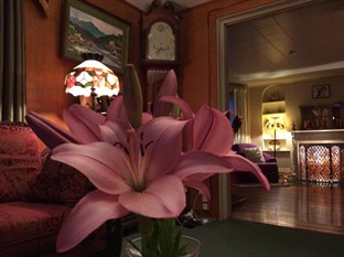 Agoda.com United States Apartments & Hotels