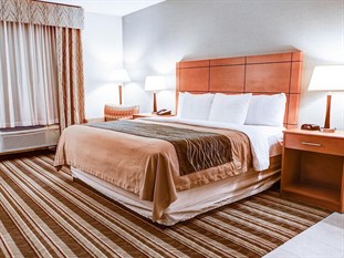 Agoda.com United States Apartments & Hotels