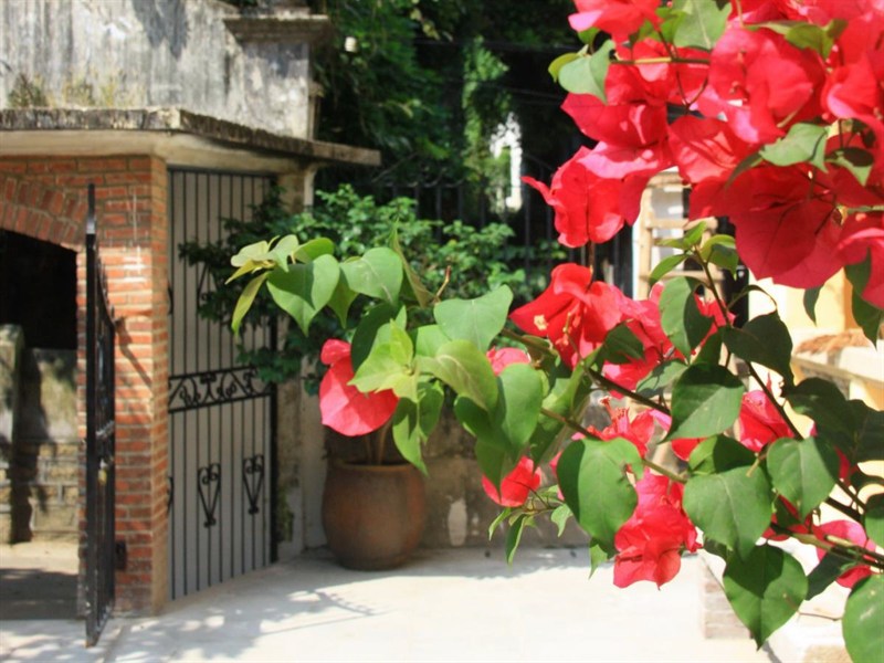 Agoda.com China Apartments & Hotels