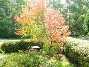 Agoda.com Australia Apartments & Hotels