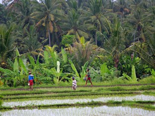 Agoda.com Indonesia Apartments & Hotels