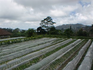 Agoda.com Indonesia Apartments & Hotels