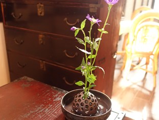 Agoda.com Japan Apartments & Hotels