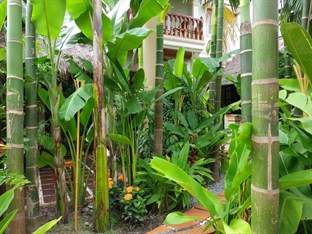 Agoda.com Cambodia Apartments & Hotels