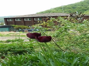 Agoda.com South Korea Apartments & Hotels