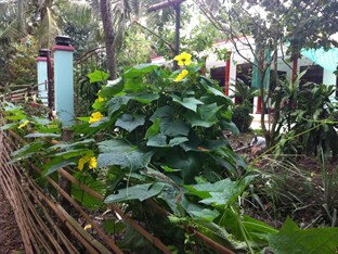 Agoda.com Vietnam Apartments & Hotels  