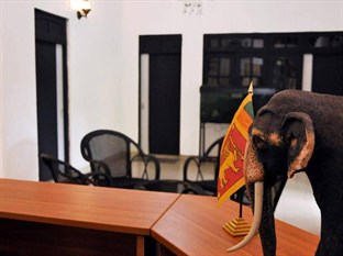 Agoda.com Sri Lanka Apartments & Hotels