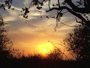 Agoda.com South Africa Apartments & Hotels