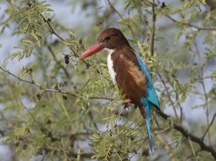 Agoda.com Nepal Apartments & Hotels