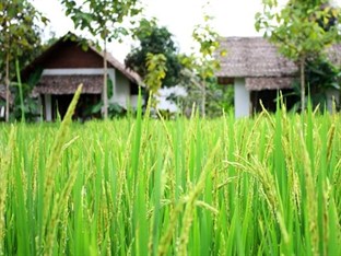 Agoda.com Thailand Apartments & Hotels