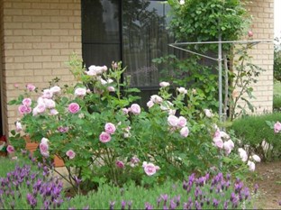 Agoda.com Australia Apartments & Hotels