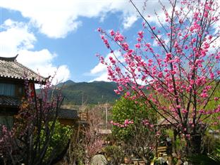 Agoda.com China Apartments & Hotels