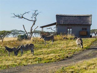 Agoda.com South Africa Apartments & Hotels