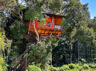 Agoda.com India Apartments & Hotels