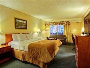 Agoda.com United States Apartments & Hotels