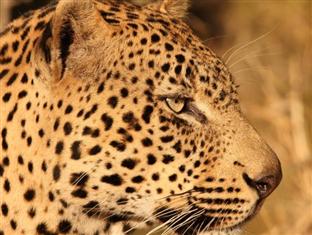 Agoda.com South Africa Apartments & Hotels