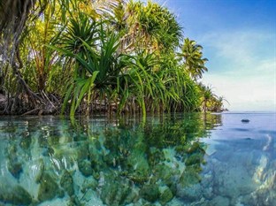 Agoda.com Maldives Apartments & Hotels