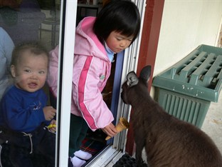 Agoda.com Australia Apartments & Hotels