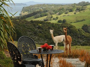 Agoda.com New Zealand Apartments & Hotels