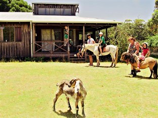 Agoda.com Australia Apartments & Hotels