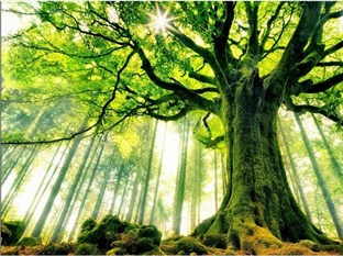 Agoda.com South Africa Apartments & Hotels