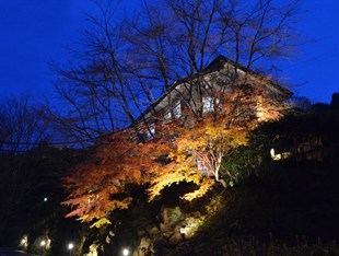 Agoda.com Japan Apartments & Hotels