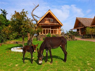 Agoda.com South Korea Apartments & Hotels