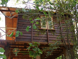 Agoda.com Sri Lanka Apartments & Hotels