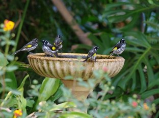 Agoda.com Australia Apartments & Hotels