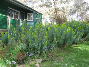 Agoda.com Australia Apartments & Hotels