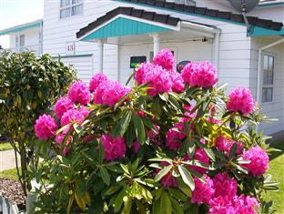 Agoda.com New Zealand Apartments & Hotels