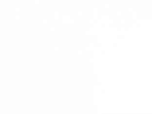 Agoda.com Belgium Apartments & Hotels