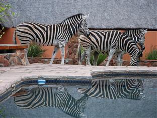 Agoda.com South Africa Apartments & Hotels