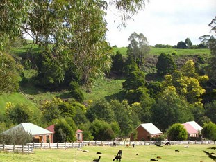 Agoda.com Australia Apartments & Hotels