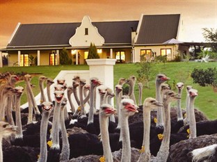 Agoda.com South Africa Apartments & Hotels