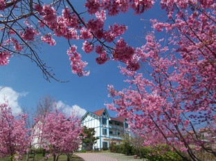 Agoda.com Taiwan Apartments & Hotels