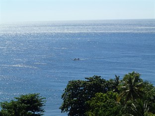 Agoda.com Indonesia Apartments & Hotels