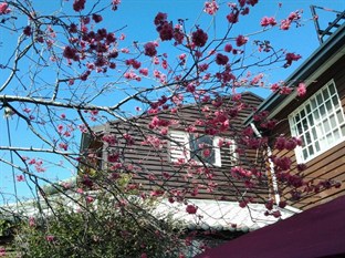 Agoda.com Taiwan Apartments & Hotels