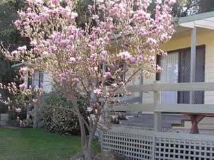 Agoda.com Australia Apartments & Hotels